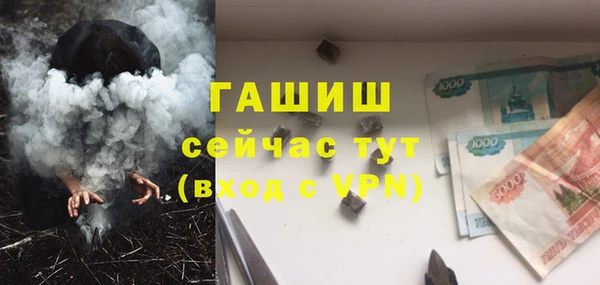 молекула духа Горняк