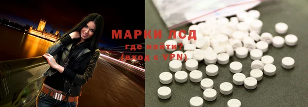 стаф Вяземский