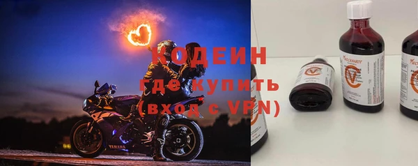 стаф Вяземский