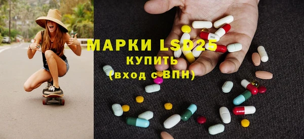 стаф Вяземский