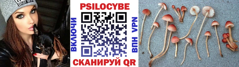 Галлюциногенные грибы Psilocybe  Купить  Козловка 